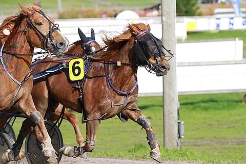 Jani Ruotsalaisen valmennukseen siirtynyt N.P. Villari voitti suosikkina.