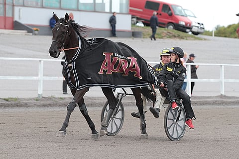 Lord Ivarin voittokulku jatkuu syksyn Magic Monday -avauksessa. Toto65-pelissä on 50 000 euroa ekstrarahaa jaossa.