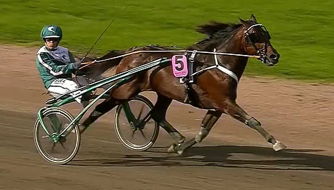 Who's Who matkaa seuraavaksi Pariisiin. 