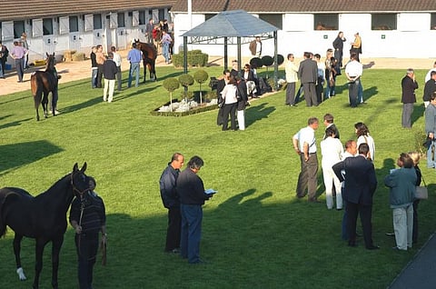 Deauvillen huutokaupan puitteet ovat saaneet ostajilta paljon kehuja. Kuva Arqana Trot.