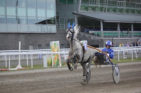 Iivari Nurmisen haave EM-kullasta tärvääntyi laukka-askeliin. Kuva: Merja Tuunanen