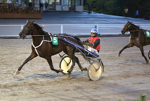 Sultan Journey voitti loppukesästä lyhyellä matkalla neljä kertaa peräkkäin, mutta nyt tuli ykköstila myös 2100 metrin matkalla.
