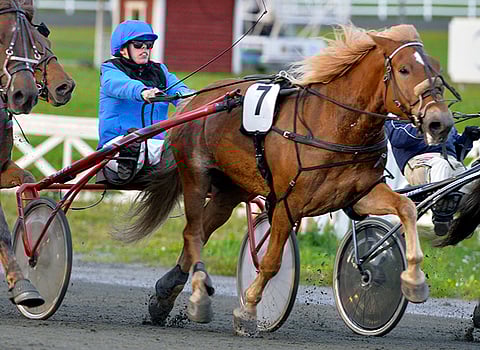 Johan Hjeltin Aronin Muisto on ideavihjeen varma.