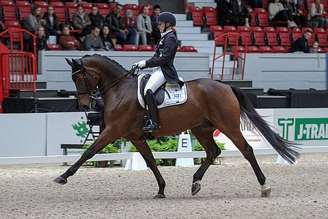 Emma Kanerva ja Dambacu NL ovat vahvimmillaan raviohjelmassa.