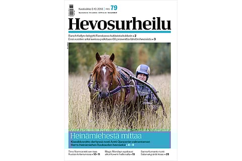 Herra Heinämies on Kuukauden hevonen. Kuva: Anu Leppänen.