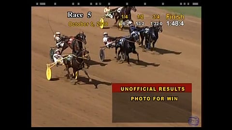 Homicide Hunter kiri ulointa rataa loppusuoralla ja ravasi kaikkien aikojen nopeimman tuloksen 07,6 The Red Milella. Kuva: HU arkisto live streaming