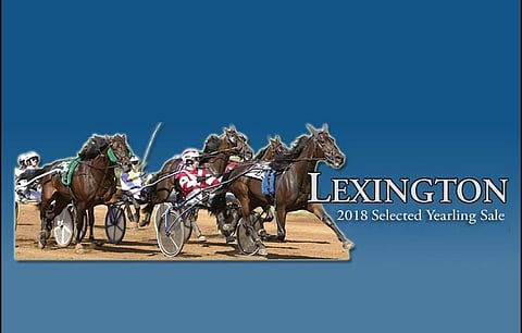 Liljendahl ja Ala-Seppälä huusivat varsoja Lexingtonissa