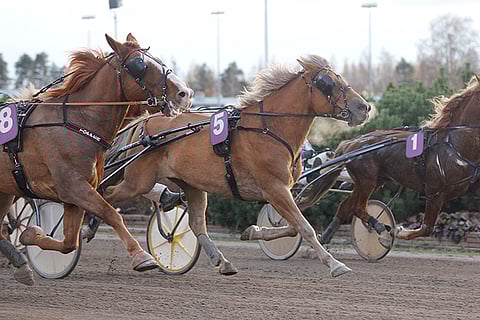 Polara (numero 5) kiihdytti keulaan Porin valiodivisioonassa ohi Larvan Hurmoksen. Kuva: Nelli Saari.