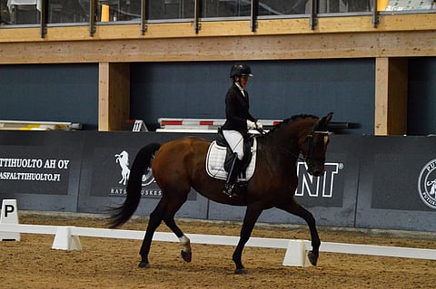 I´m Marzipan sai kasvattajansa kyyneliin.