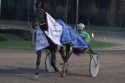 Maleconin uran huippuhetkeksi jäi onnistuminen Jokimaa Tekee Tähtiä -kilpailun finaalissa. Ruunan ohjastajana kyseisessä kisassa toimi Ari Moilanen.