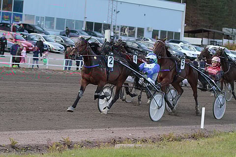 Kriteriumin lohdutuslähdön voittanut Jolly Roy oli paras 3-vuotiaiden toisessa karsintaerässä.