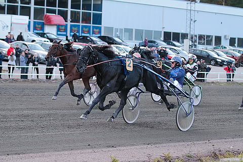 Lewis Ale oli torstain viimeistelyissä Tiia Pihamaan mukaan mainio.