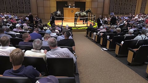 Yleisöllä on viihtyisät tilat huutokaupan aikana Fasig-Tipton Sales Pavilionissa.