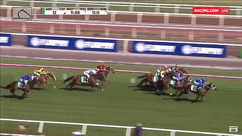 Winx vauhdissa lauantaina Australiassa! Se kiri toiseksi viimeiseltä sijaltaan voittoon!