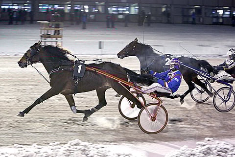 Olli Koivusen ajama Silvester on vahvoilla illan toisessa Toto5-kohteessa.