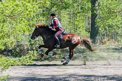 Kuka se tässä laukkaa? Nykyään 26-vuotias R.T. Kajaus nuoruutensa päivinä - nyt se on otsikoissa vuoden 2018 suosituimpana ratsuoriina.