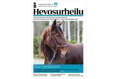 Peanuts. Kannen kuva: Totofoto.