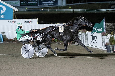 Lexus Dream juoksee Sweden Cupissa. Kuva: Roosa Lindholm