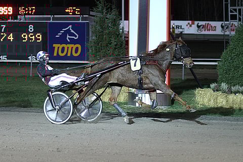 Look Complete on päätöskohteen varma.