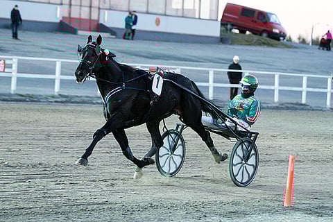 Jukka Torvisen ajama Seabiscuit hallitsi keulasta.