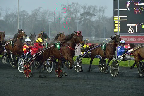 Bold Eagle viime vuoden Prix de Bourgognen lähtökiihdytyksessä. (Kuva: JLL - LeTrot)