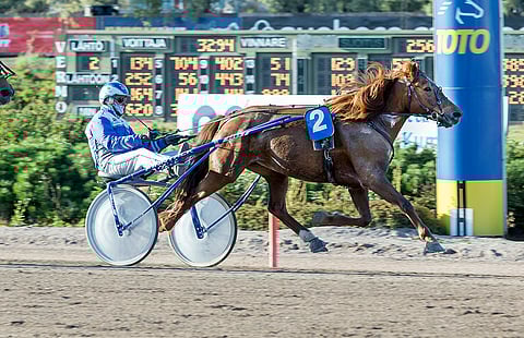 Pälvi Tuttu oli tiistai-illan suurin yllätysvoittaja.
