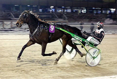 Star Martini on toinen varma tiistain Toto5-kierrokselle.