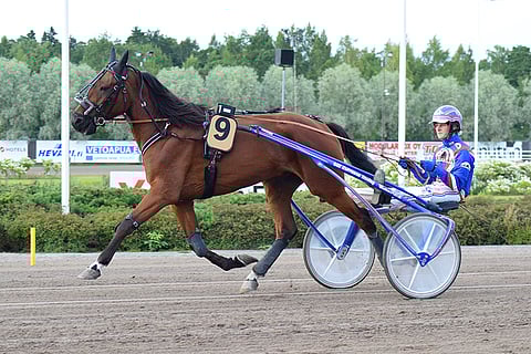 Questionmark Me on Toto65-illan ideavarma.