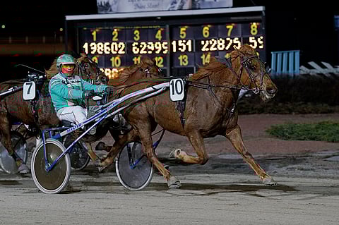 Arto Hammarin ajama Tementikko kiri avauskohteen parhaaksi.