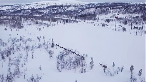 Forbunderesan vaeltaa vaaramaisemissa Ruotsista Norjan puolelle Rörosin perinnemarkkinoille. Kuva: Forbonderesan