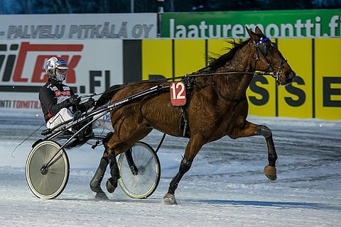 Roberto Diver kelpaa Toto65-systeemin ideavarmaksi.