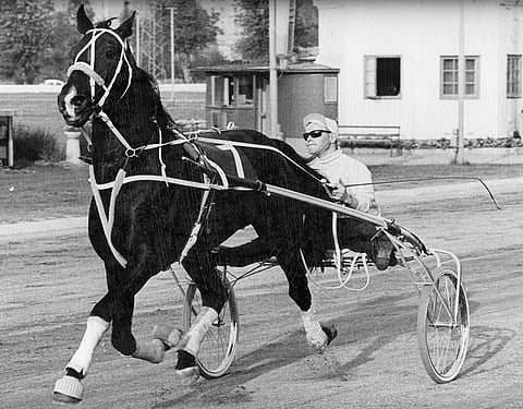 Kuvassa Rolf Hogbrand ja Cest, jonka hän osti totovoitoilla. Hän viimeisteli sen ensimmäiseen starttiin irroittamalla renkaat kärryistä ja päästämällä oriin karkuun. Cest voitti lähdön ja Hogbrand paljon totossa. Voittajaesittelyssä hän riisui hevoselta sen valkoiset valjaat, heitti ne katsomoon ja talutti hevosen talllialueelle itse kärryjä vetäen.