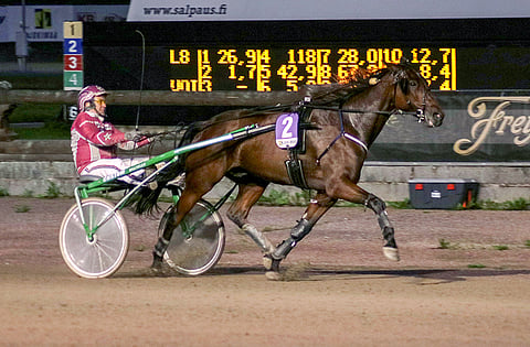 Voitto oli 5-vuotiaalle Cape's Caviarille kauden kolmas ja kaikkiaan kahdeksas.