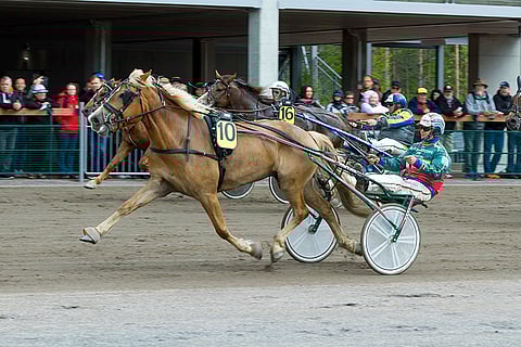 Hannu Hietasen luotsaama Krannin Pihla yllätti maanantain avauskohteessa.