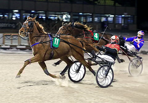 Cyrius D'ariane runttasi parhaaksi johtavan rinnalta.