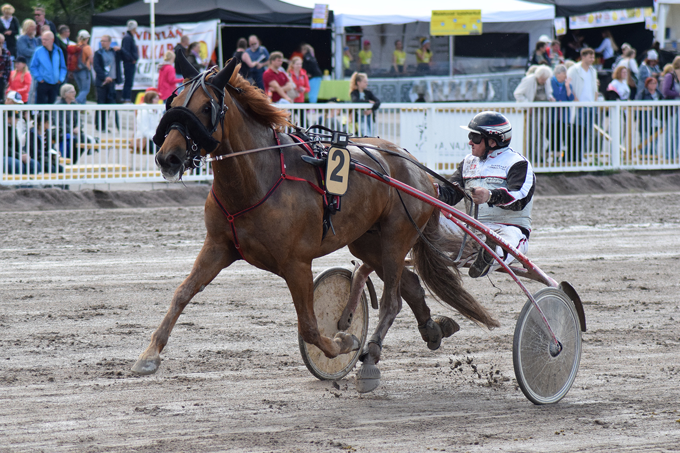 Reijo Borgström osallistui B. Riitun kanssa Kunkkarilegendat -lähtöön Vermon kuninkuusraveissa vuonna 2017.