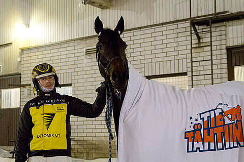 Riku M Lindgren edustaa Suomea kokelasohjastajien EM-kilpailuissa.