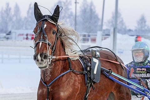 Tutun Impi jatkaa kilpailemista jo keskiviikkona Vermossa. Arkistokuva: Jarno Unkuri.