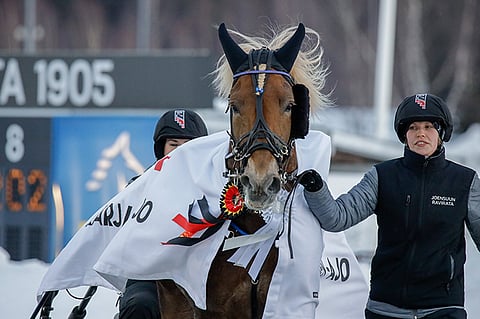 Kuningas haki ensimmäisen kerran voittoloimen Joensuusta.