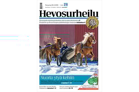 Jukka-Pekka Kauhasen valmentama Säihkeen Sähinä on Nelivuotisteeman kansikuvahevonen. Kannen kuva: Juhani Hynynen.