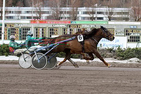 Mysteerio ravasi Niko Jokelan ohjastamana huippudivisioonafinaalin voittoon maaliskuun alussa Vermossa.