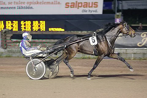 Wang Dang Doodle on kiinnostava ideavarma illan Toto64-kierrokselle.