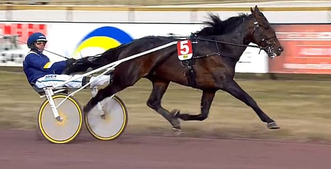 Zack's Zoomer paineli voittoon Kjell P Dahlströms Minne -kisassa. Kuva. ATG Live