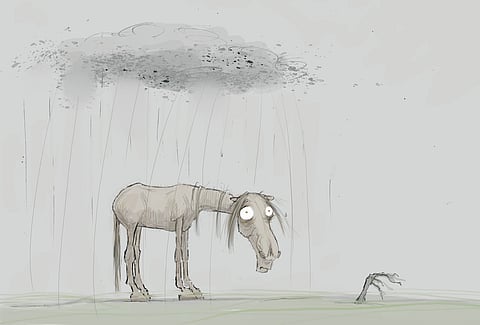 Meneekö hevosilla hyvin vai huonosti?