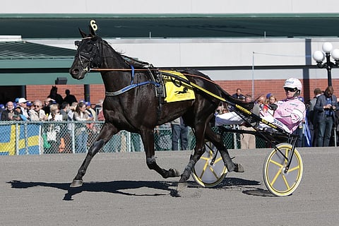 Seinäjoki teki nimekkään värväyksen, kun On Track Piraten saapuu lakeuksille. Kuva: Mike Lizz