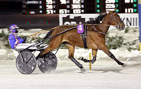 Mistellen viimeisimmästä voitosta on aikaa jo yli vuosi mutta tänään Olli Koivusen ajokilla on loistava mahdollisuus kauden avausvoittoon. 