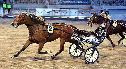 Ucciolla on paikka palata voittojen tielle.