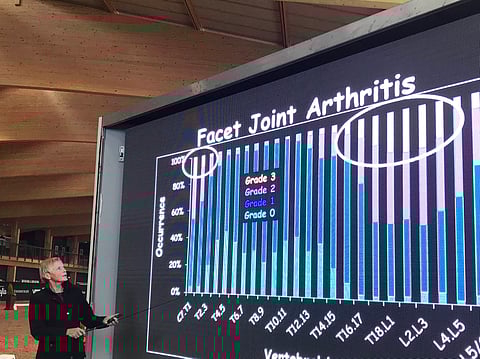 Ratsuhevosilla on selkänikamiensa fasettinivelissä usein kulumia, joista aiheutuu jäykkyyttä ja haluttomuutta liikkua. Pahimmat muutokset on paikallistettu Claytonin omassa tutkimuksessa aivan tiettyihin paikkoihin, kuten kaula-ja rintarangan yhtymäkohtaan C7-T1, sekä rintarangan viimeisiin ja lannerangan ensimmäisiin nikamaväleihin, kertoo Hilary Clayton.
