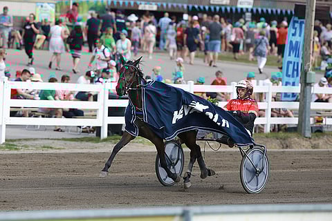 Cocktail Princess on illan ideavarma.