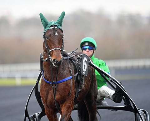 Sébastien Guaraton valmentama Eridan nähdään Vermon kaviouralla 4. toukokuuta. Kuva: Gerard Forni